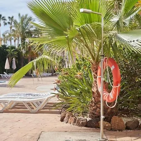 Stunning Penthouse Terrace & Pool * Free Parking Apartment